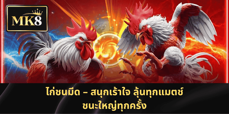 ไก่ชนมีด – สนุกเร้าใจ ลุ้นทุกแมตช์ ชนะใหญ่ทุกครั้ง